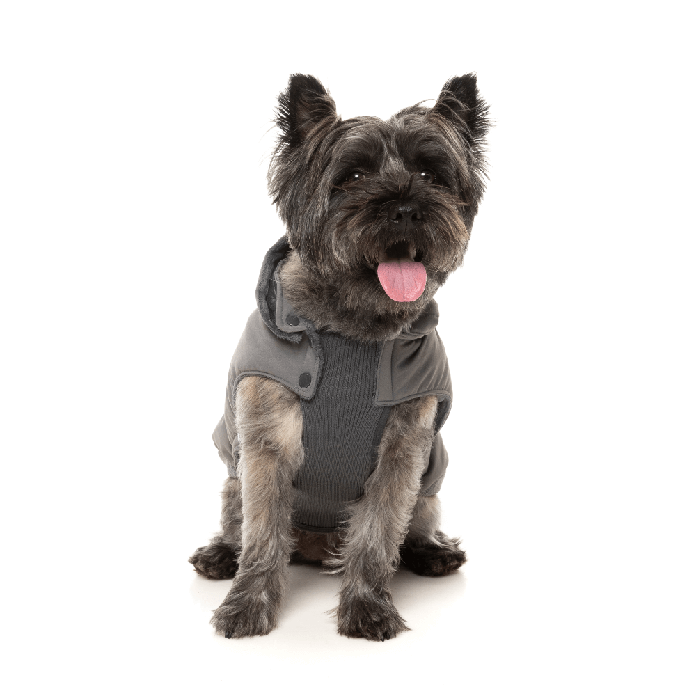 Grey Essential Padded Dog Jacket 3 Grey Essential Padded Dog Jacket