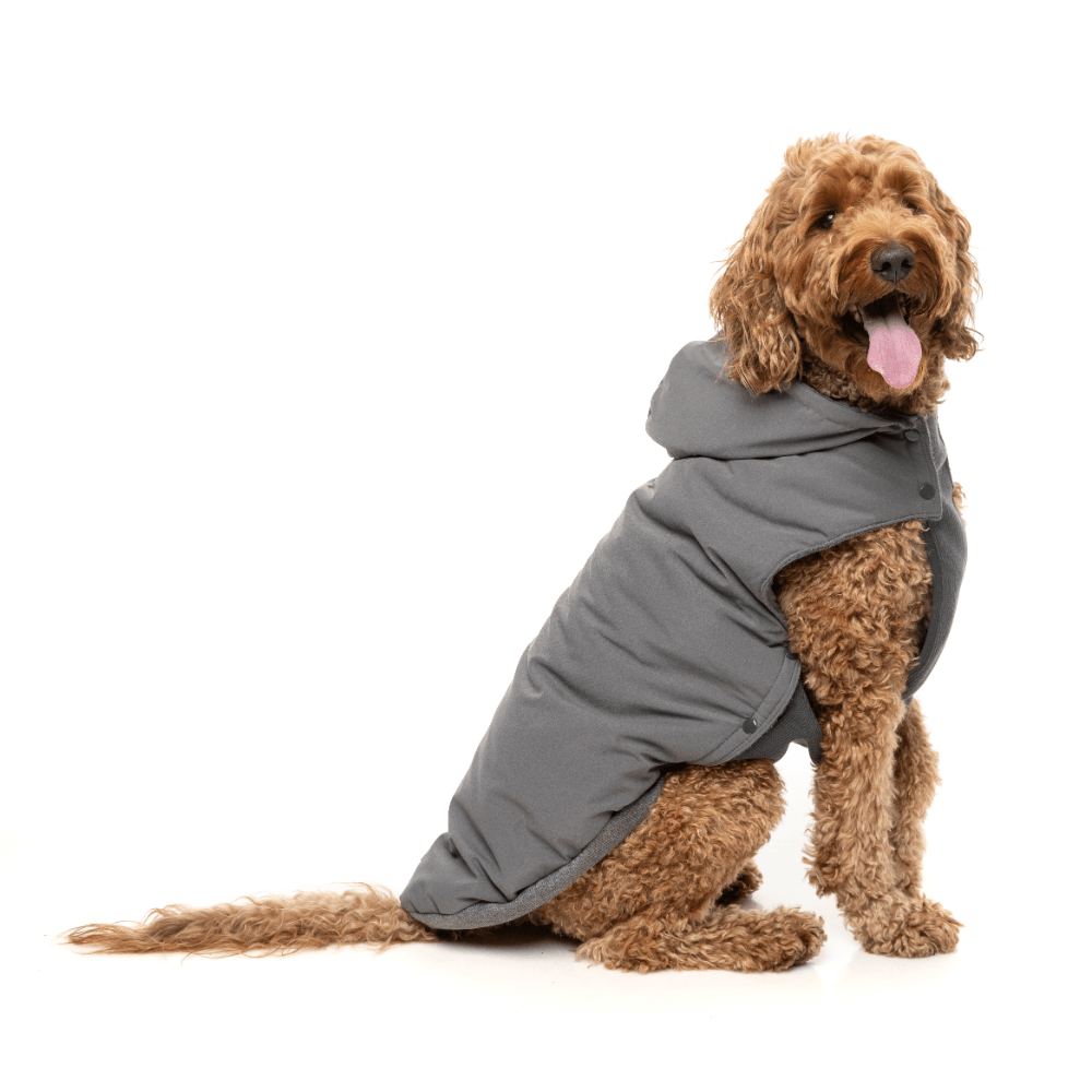 Grey Essential Padded Dog Jacket 7 Grey Essential Padded Dog Jacket