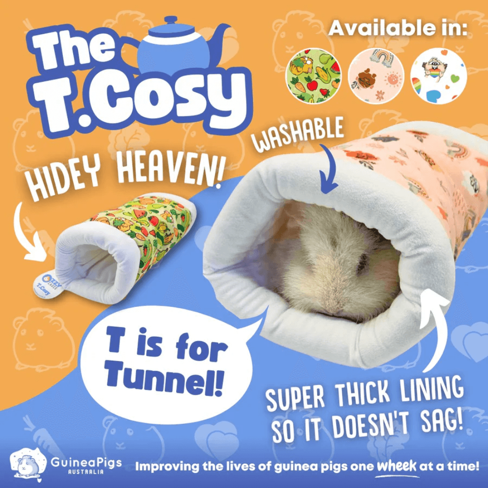 T Cosy Tunnel Earthchild Guinea Pig Soft Toy