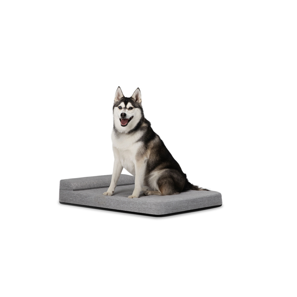 Diggs Bolstr Grey Dog Bed