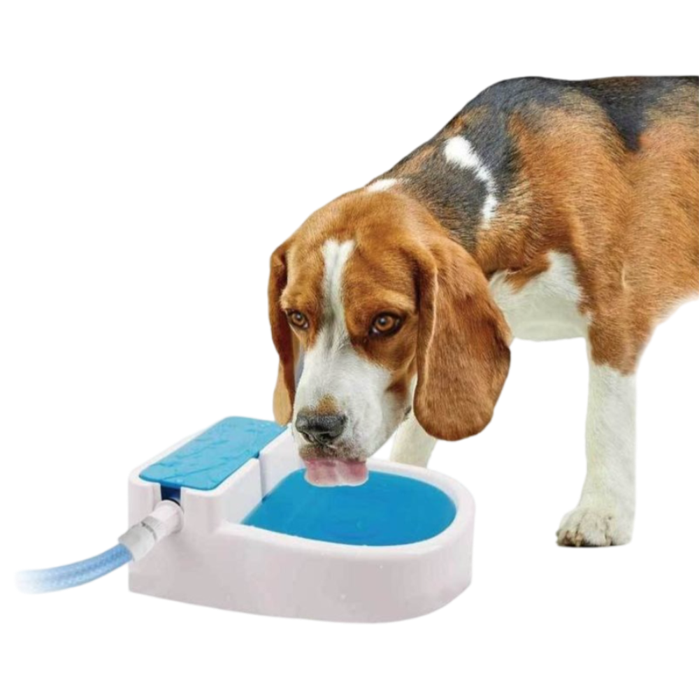 Chillout Garden Auto Filling Water Fountain 3 Chillout Garden Auto Filling Water Fountain