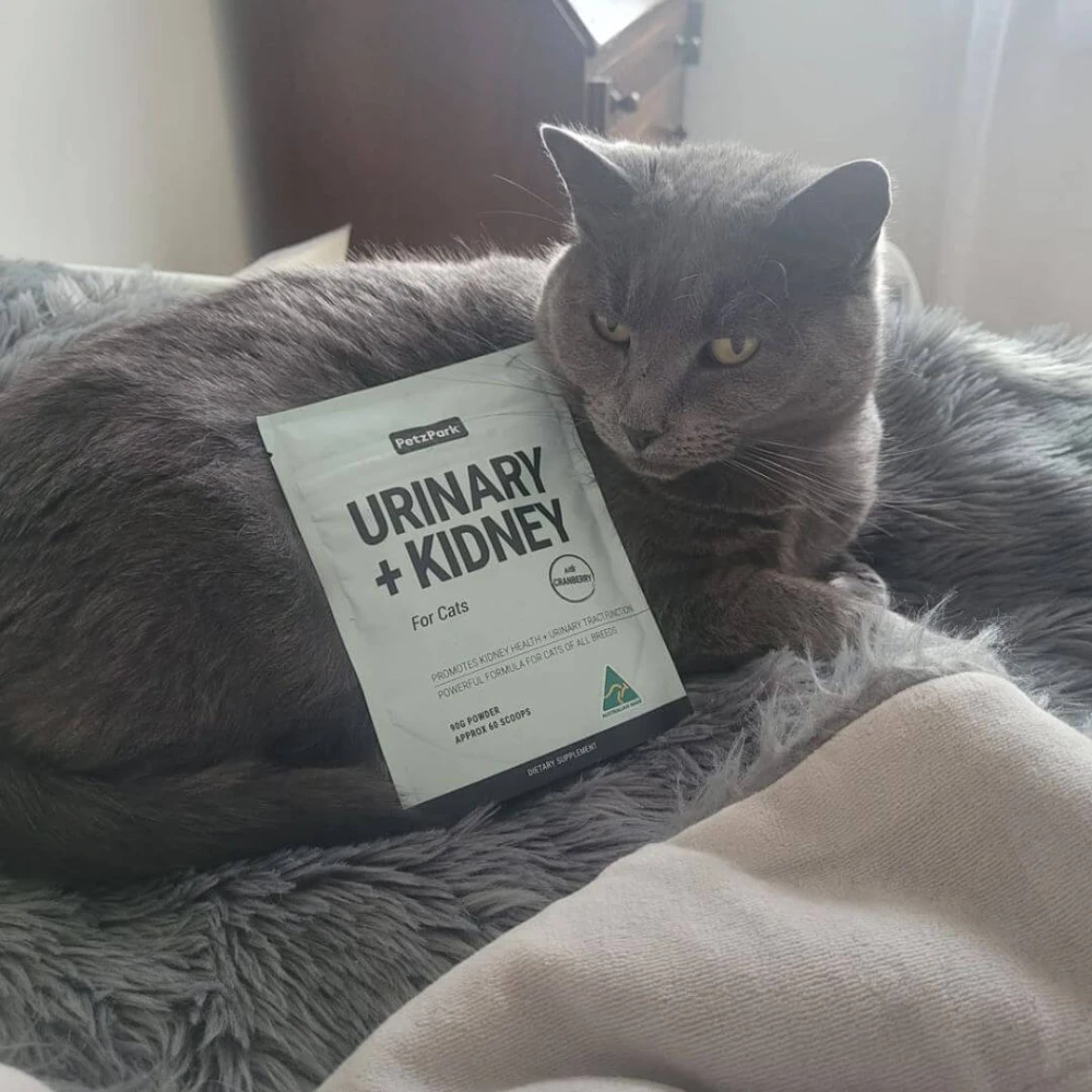 Urinary Plus Kidney For Cats 6 Urinary Plus Kidney For Cats