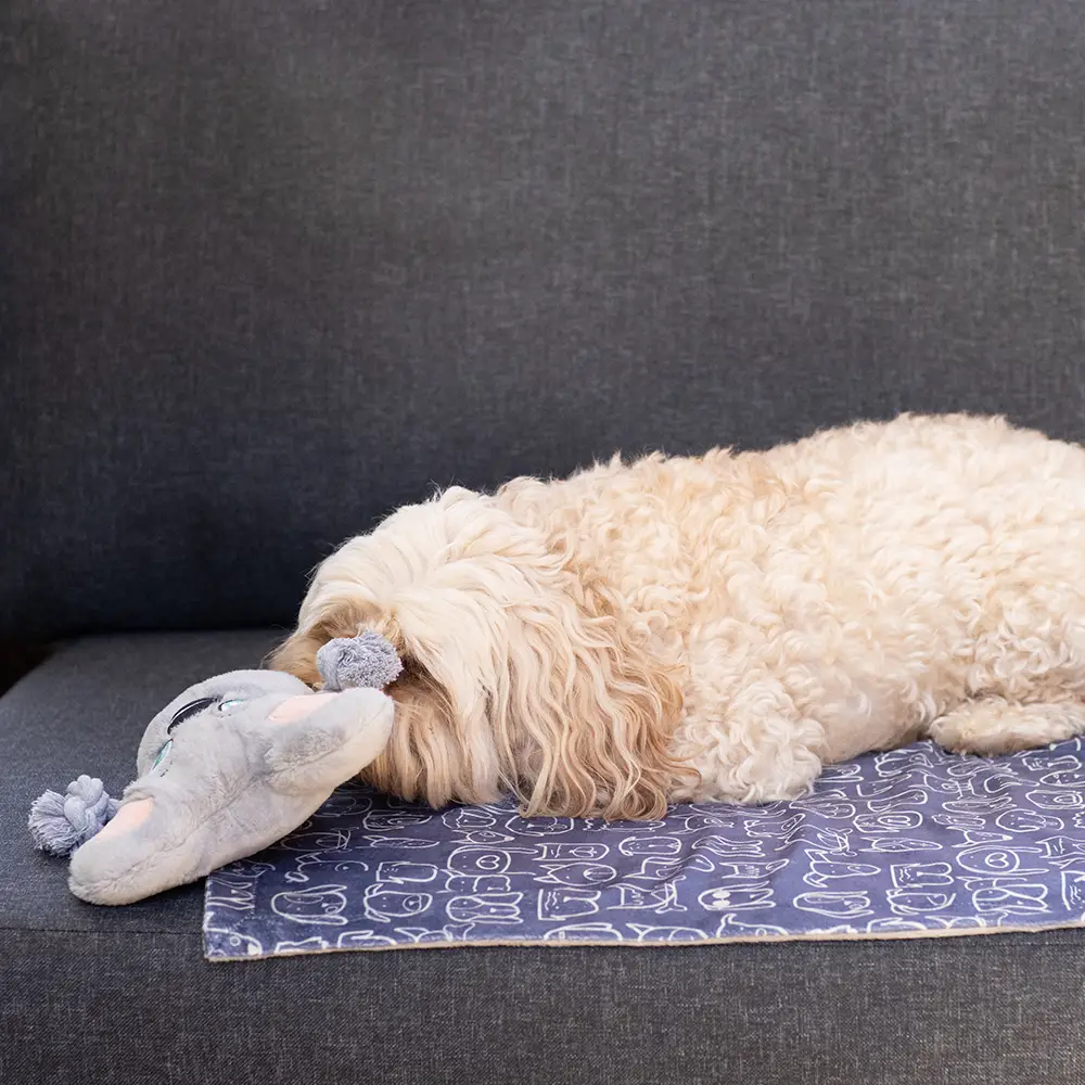 La Doggie Vita Blanket Plush Dog Central Indigo 2 La Doggie Vita Blanket Plush Dog Central Indigo