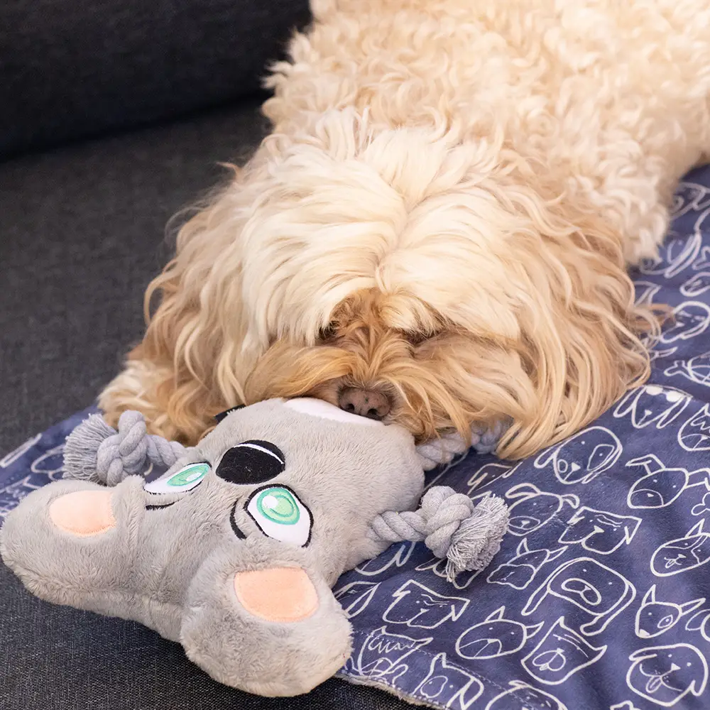 La Doggie Vita Blanket Plush Dog Central Indigo 3 La Doggie Vita Blanket Plush Dog Central Indigo