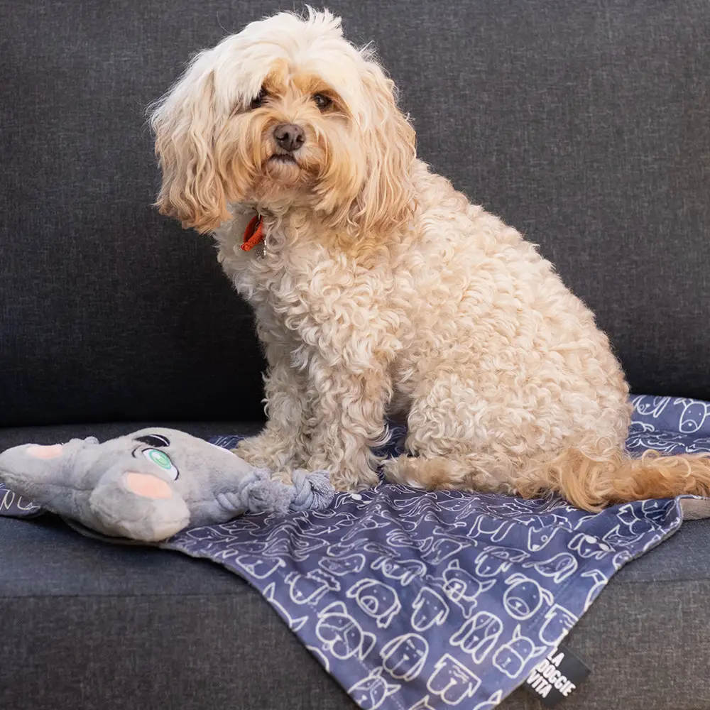 La Doggie Vita Blanket Plush Dog Central Indigo 4 La Doggie Vita Blanket Plush Dog Central Indigo