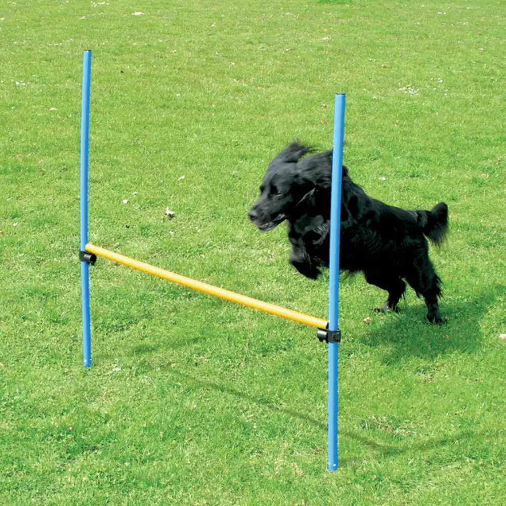Pawise Agility Hurdle