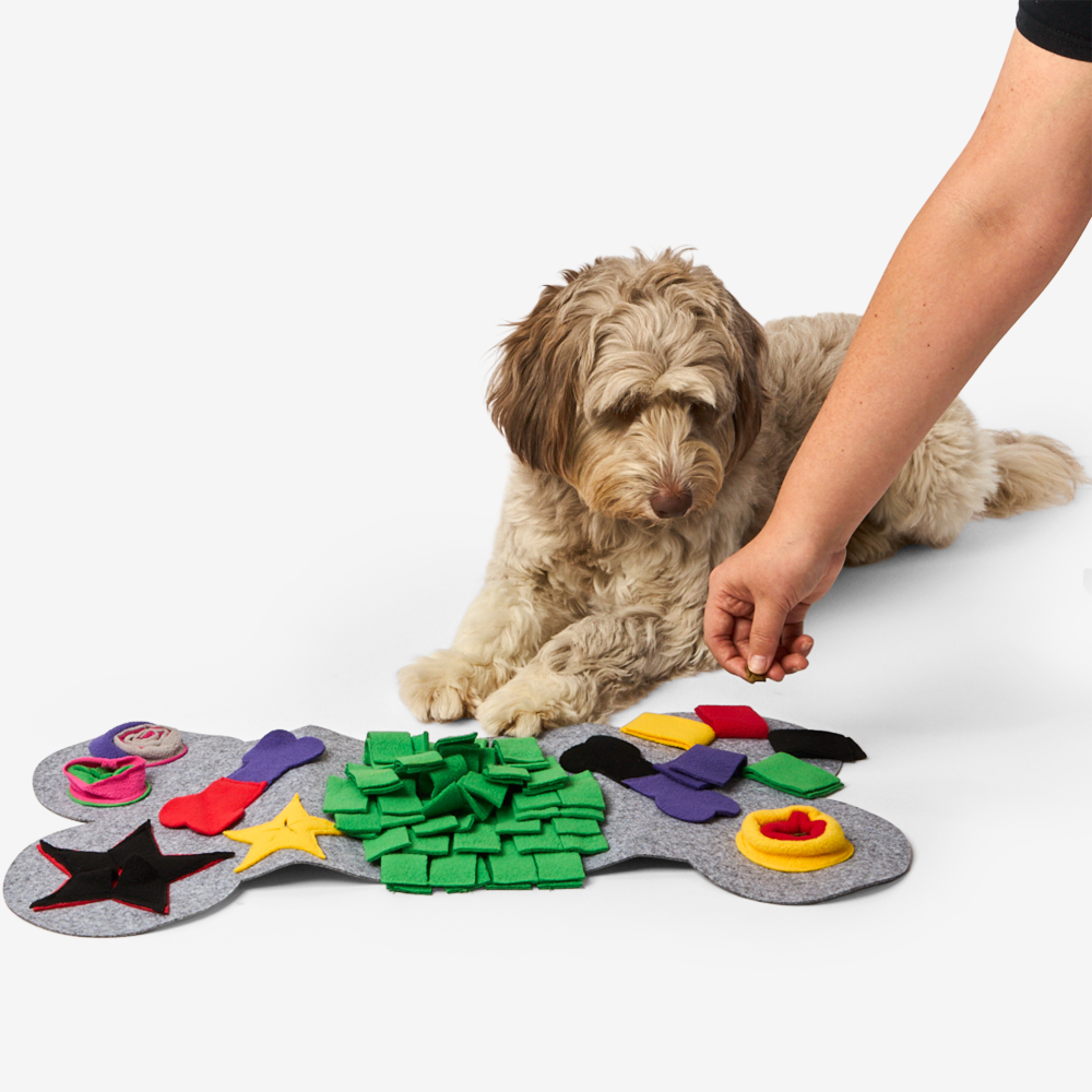 Paws For Life Snuffle Puzzle Mat 5 Paws For Life Snuffle Puzzle Mat