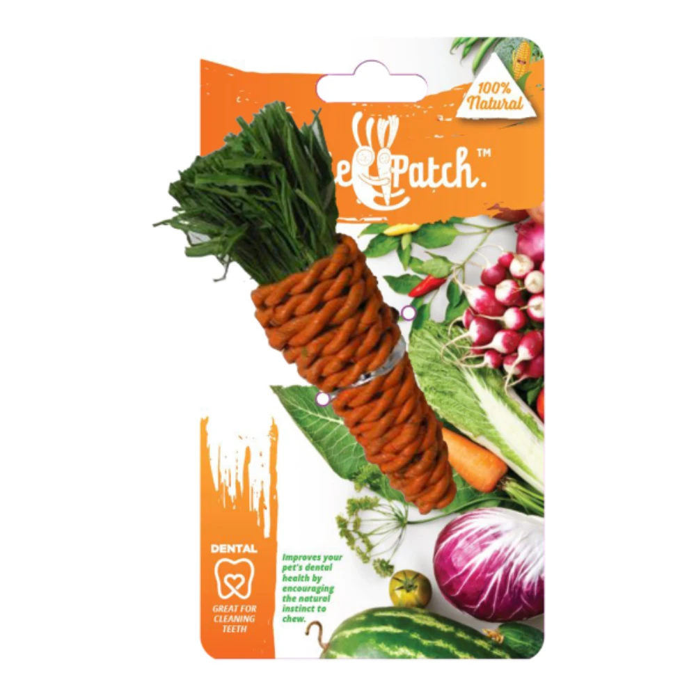 Veggie Patch Carrot Small Animal Chew Toy With Seagrass And Corn Husk