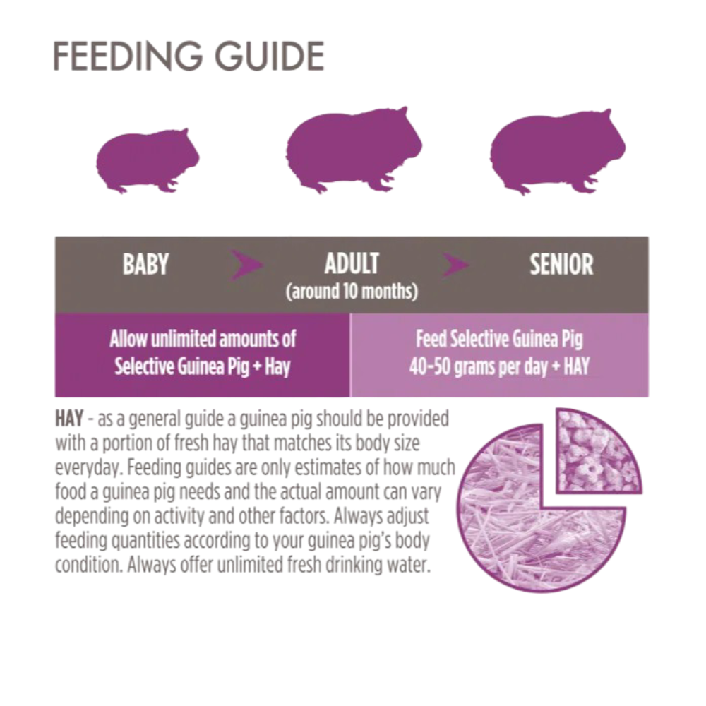 Balanced Adult Guinea Pig Pellet Food With Vitamin C 4 Balanced Adult Guinea Pig Pellet Food With Vitamin C