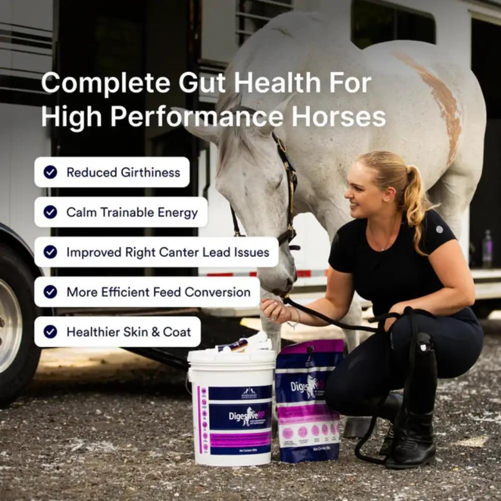 Poseidon Digestive Rp Sporthorse Gut Support Supplement 2 Poseidon Digestive Rp Sporthorse Gut Support Supplement