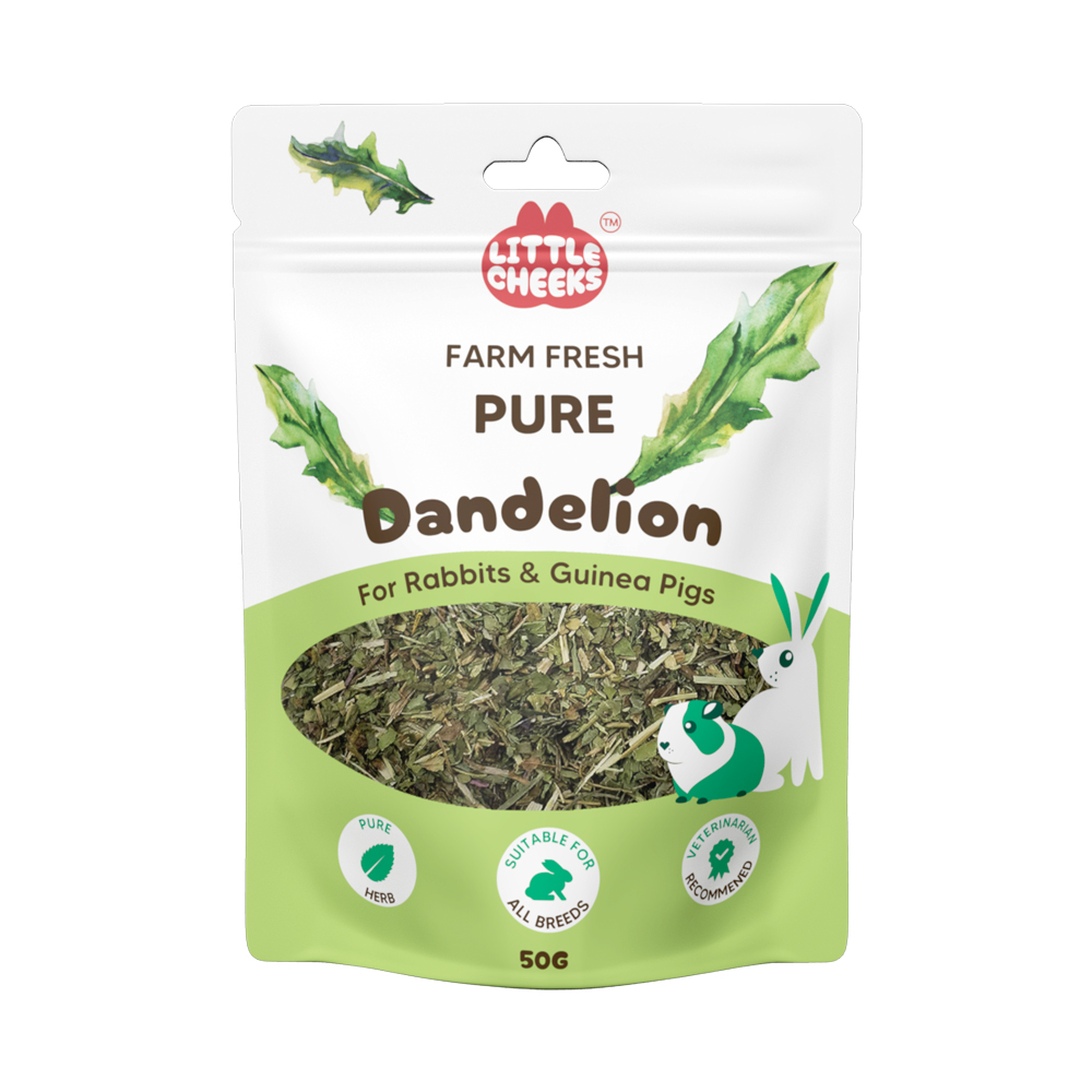 Little Cheeks Farm Fresh Pure Dandelion Leaf For Rabbits And Guinea Pigs Treats