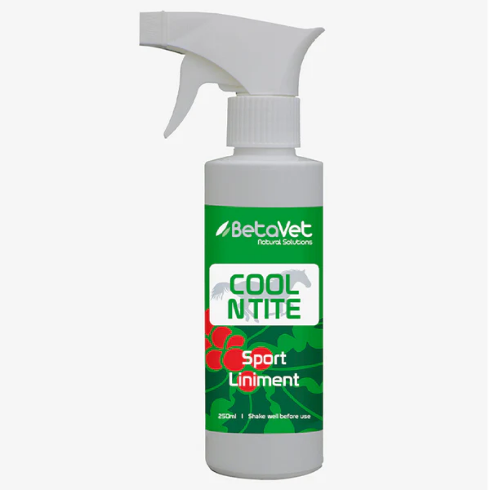 Betavet Cool N Tite Horse Supplement