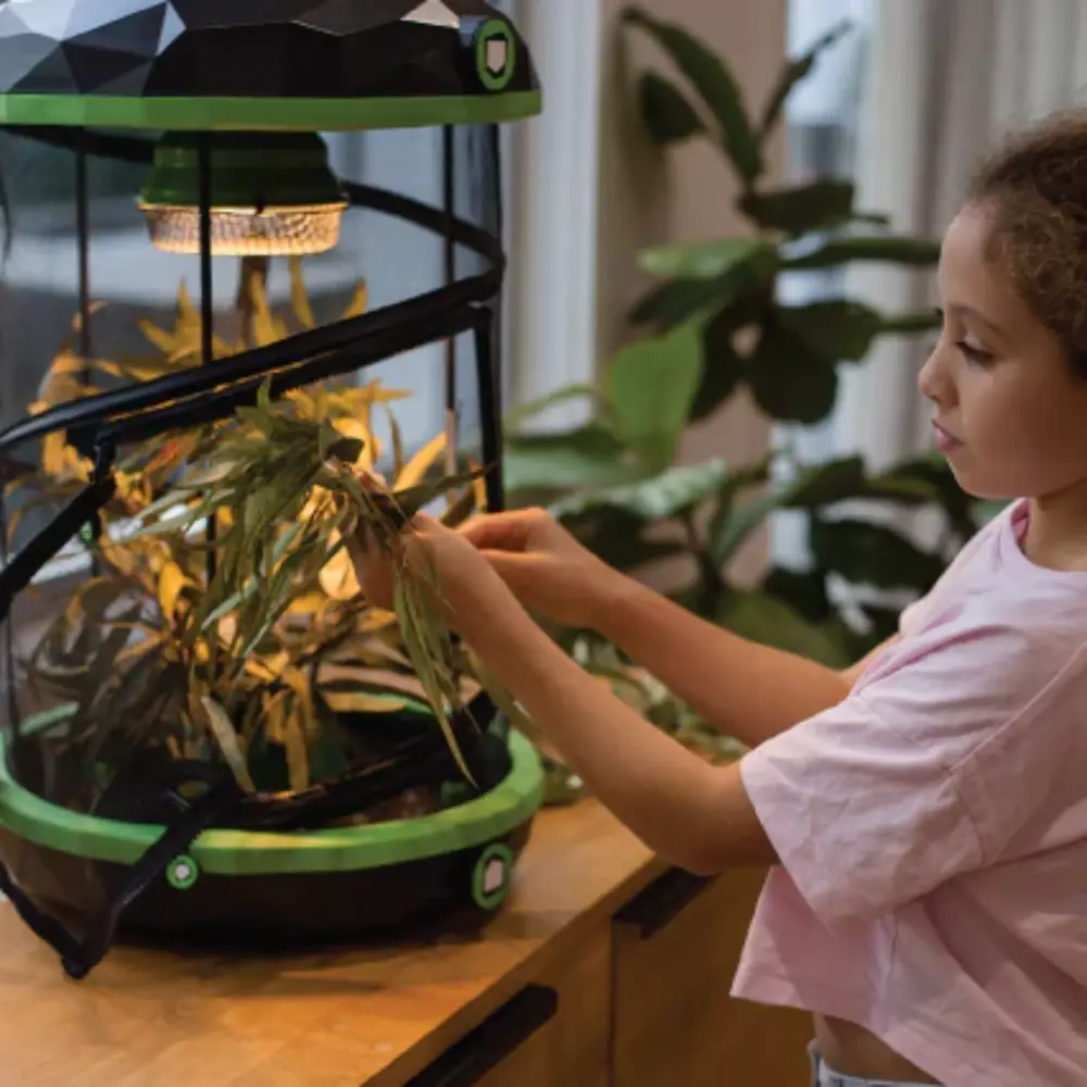 Insect Light Capsule Low Voltage Light Unit 5 Insect Light Capsule Low Voltage Light Unit