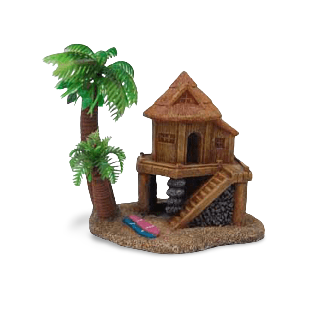 Hermit Crab Round House