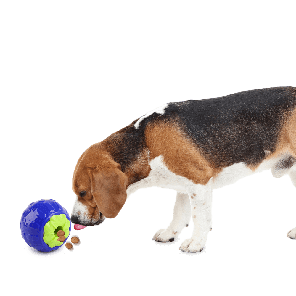 Afp Berry Treat Dispenser Dog Toy 6 Afp Berry Treat Dispenser Dog Toy