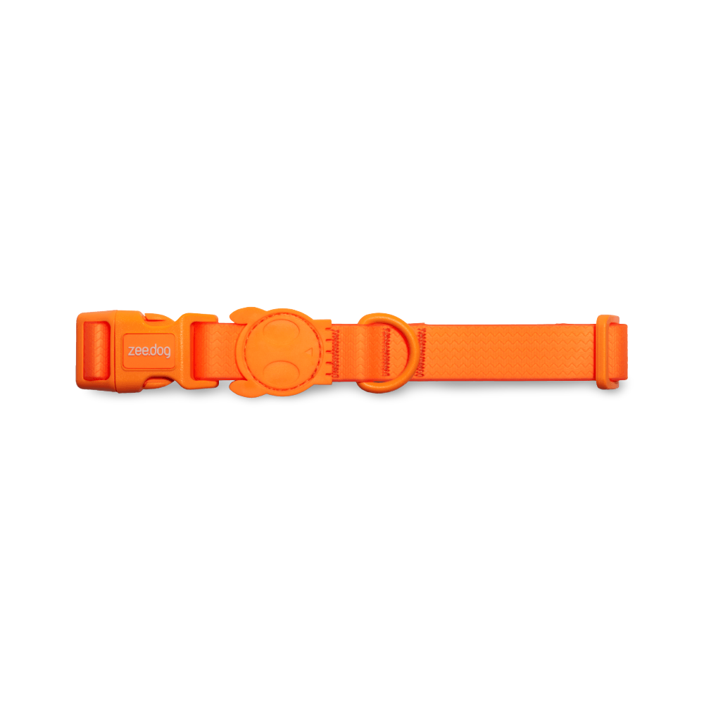 Collar Neopro Tangerine 1 Collar Neopro Tangerine