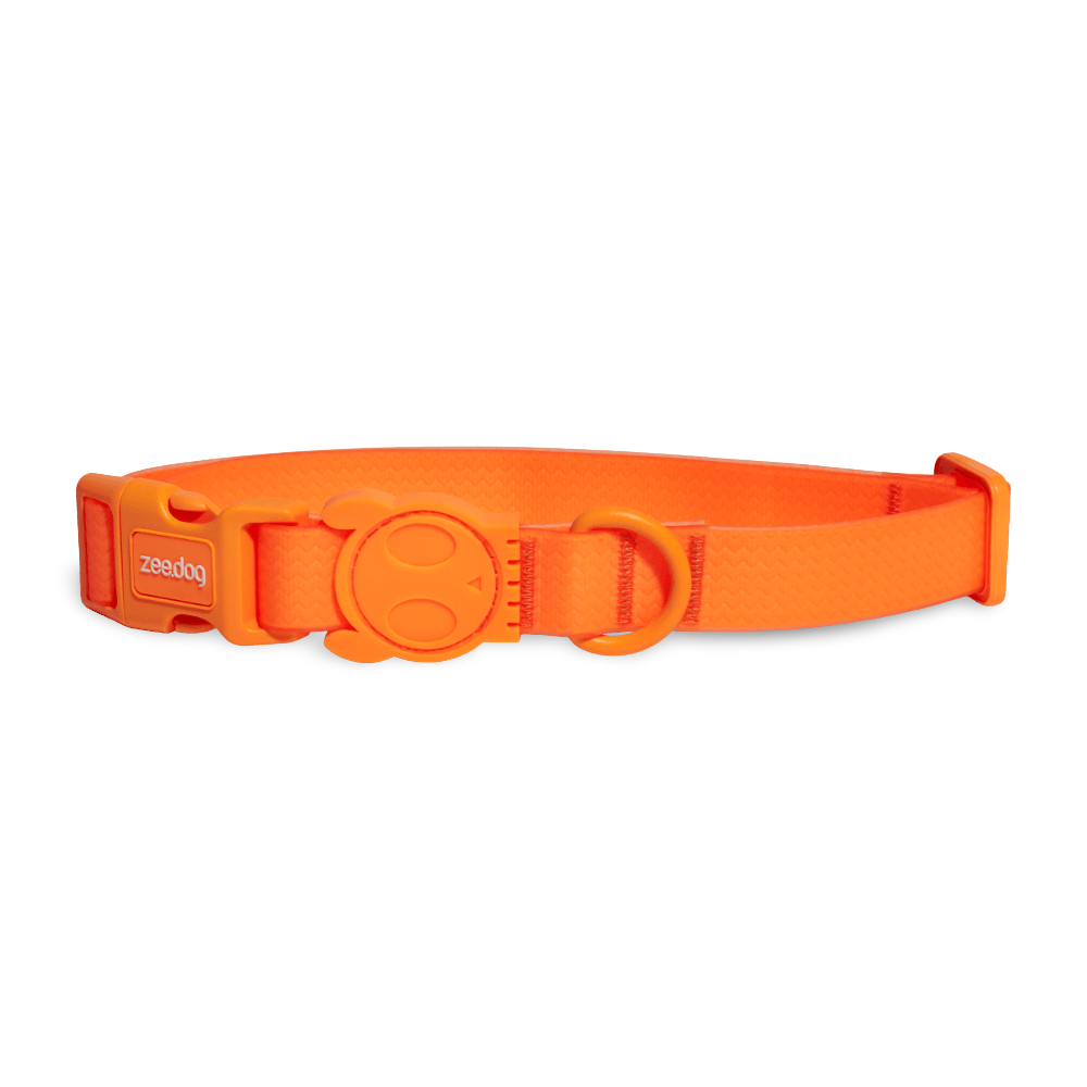 Collar Neopro Tangerine 2 Collar Neopro Tangerine