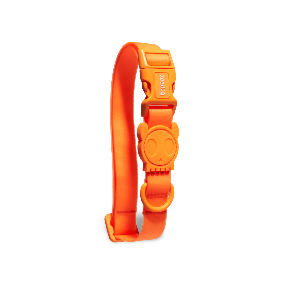 Collar Neopro Tangerine 3 Collar Neopro Tangerine