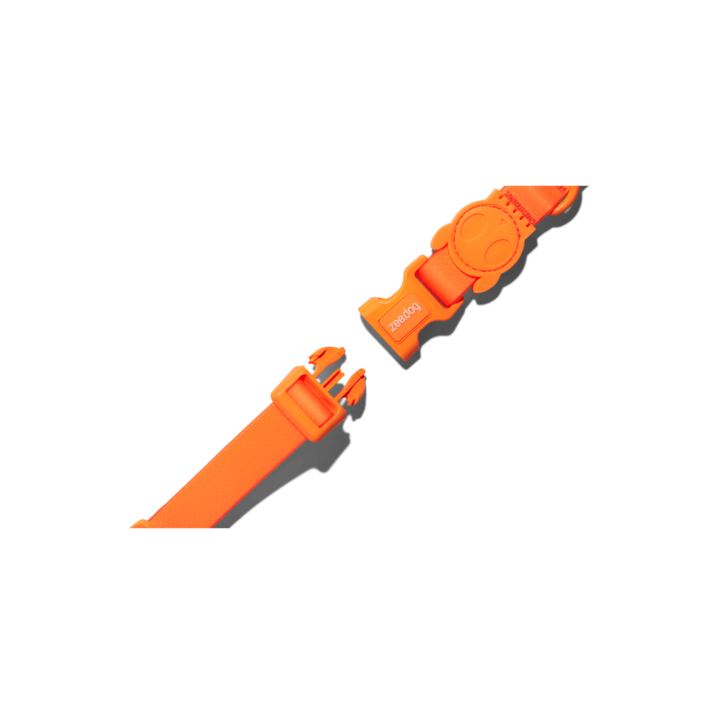 Collar Neopro Tangerine 4 Collar Neopro Tangerine