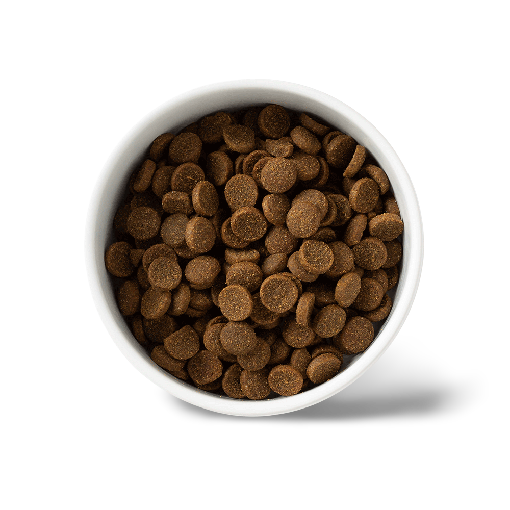 Essentials Adult Chicken Dry Dog Food 4 Essentials Adult Chicken Dry Dog Food