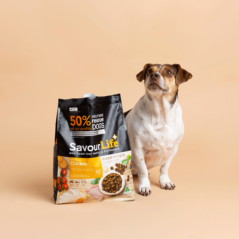 Essentials Adult Chicken Dry Dog Food 5 Essentials Adult Chicken Dry Dog Food