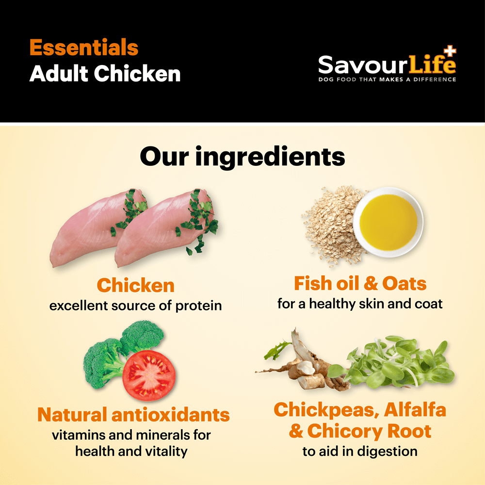 Essentials Adult Chicken Dry Dog Food 8 Essentials Adult Chicken Dry Dog Food